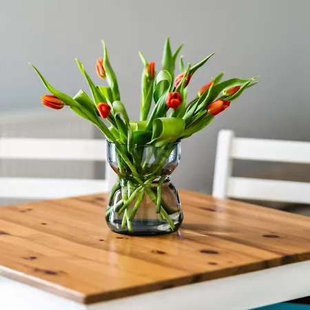 Apartament Morskie Przy Plaży Piamola