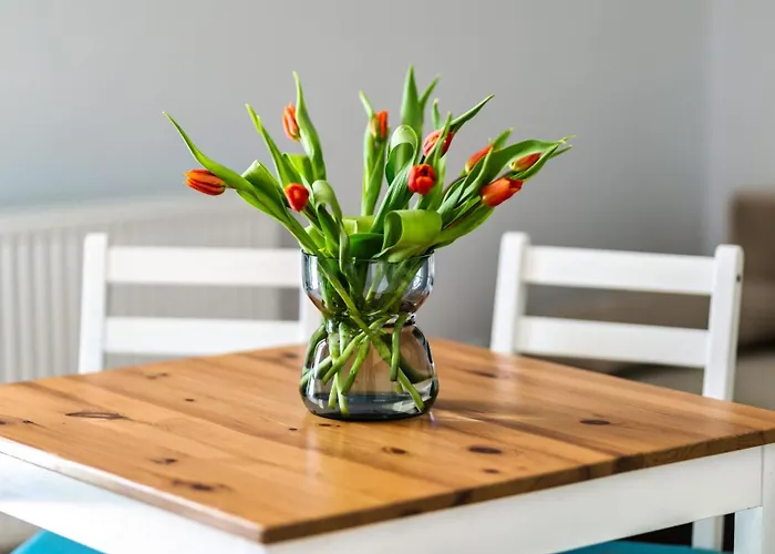 公寓 Morskie Przy Plazy Piamola